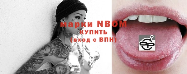 стаф Бородино