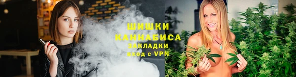 стаф Бородино