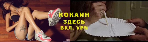 стаф Бородино
