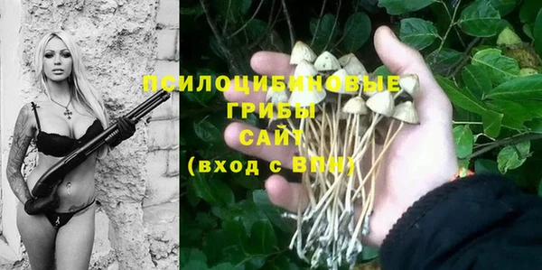стаф Бородино
