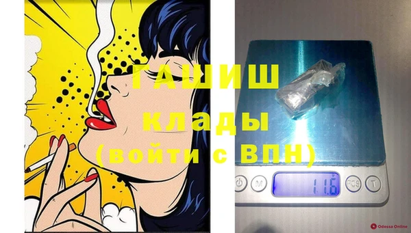 стаф Бородино